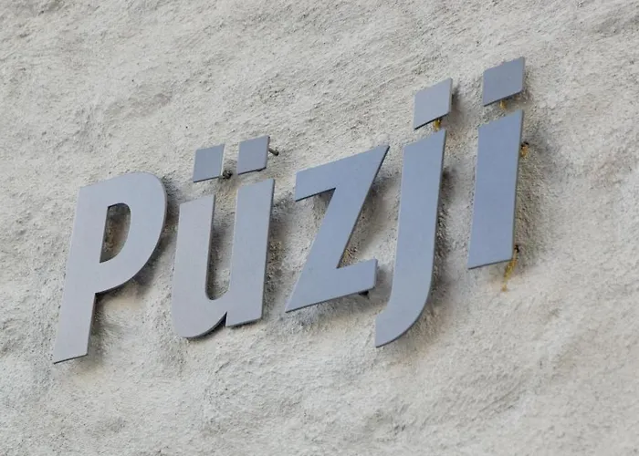 Alpstuga Puzji